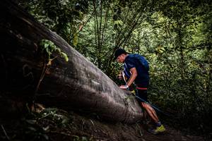 BIB: 
                            <button type="button" onclick="openModal(13523286)" class="btn btn-primary btn-sm float-right btn-popup" data-toggle="modal" data-target=".modal-high-quality">
                        <i class="fas fa-shopping-cart"></i> Add to Cart
                    </button>
                                            <button type="button" onclick="isThisMe(13523286, true)" class="btn btn-success btn-sm float-right btn-popup btn-isme hidden" data-toggle="tooltip" data-placement="bottom" title="นี่คือรูปของคุณใช่ไหม คลิกที่นี่เพื่อเอาเข้าอัลบั้ม">
                        <i class="fas fa-plus"></i> Add to album
                    </button>
                    <button type="button" onclick="isThisMe(13523286, false)" class="btn btn-warning btn-sm float-right btn-popup btn-isnotme hidden">
                        <i class="fas fa-ban"></i> Remove from album
                    </button>