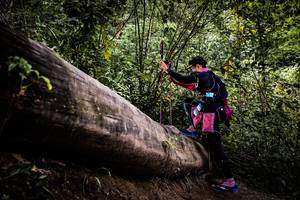 BIB: 
                            <button type="button" onclick="openModal(13525798)" class="btn btn-primary btn-sm float-right btn-popup" data-toggle="modal" data-target=".modal-high-quality">
                        <i class="fas fa-shopping-cart"></i> Add to Cart
                    </button>
                                            <button type="button" onclick="isThisMe(13525798, true)" class="btn btn-success btn-sm float-right btn-popup btn-isme hidden" data-toggle="tooltip" data-placement="bottom" title="นี่คือรูปของคุณใช่ไหม คลิกที่นี่เพื่อเอาเข้าอัลบั้ม">
                        <i class="fas fa-plus"></i> Add to album
                    </button>
                    <button type="button" onclick="isThisMe(13525798, false)" class="btn btn-warning btn-sm float-right btn-popup btn-isnotme hidden">
                        <i class="fas fa-ban"></i> Remove from album
                    </button>