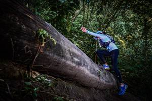 BIB: 
                            <button type="button" onclick="openModal(13519576)" class="btn btn-primary btn-sm float-right btn-popup" data-toggle="modal" data-target=".modal-high-quality">
                        <i class="fas fa-shopping-cart"></i> Add to Cart
                    </button>
                                            <button type="button" onclick="isThisMe(13519576, true)" class="btn btn-success btn-sm float-right btn-popup btn-isme hidden" data-toggle="tooltip" data-placement="bottom" title="นี่คือรูปของคุณใช่ไหม คลิกที่นี่เพื่อเอาเข้าอัลบั้ม">
                        <i class="fas fa-plus"></i> Add to album
                    </button>
                    <button type="button" onclick="isThisMe(13519576, false)" class="btn btn-warning btn-sm float-right btn-popup btn-isnotme hidden">
                        <i class="fas fa-ban"></i> Remove from album
                    </button>