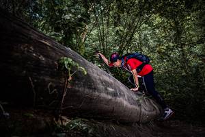 BIB: 
                            <button type="button" onclick="openModal(13522721)" class="btn btn-primary btn-sm float-right btn-popup" data-toggle="modal" data-target=".modal-high-quality">
                        <i class="fas fa-shopping-cart"></i> Add to Cart
                    </button>
                                            <button type="button" onclick="isThisMe(13522721, true)" class="btn btn-success btn-sm float-right btn-popup btn-isme hidden" data-toggle="tooltip" data-placement="bottom" title="นี่คือรูปของคุณใช่ไหม คลิกที่นี่เพื่อเอาเข้าอัลบั้ม">
                        <i class="fas fa-plus"></i> Add to album
                    </button>
                    <button type="button" onclick="isThisMe(13522721, false)" class="btn btn-warning btn-sm float-right btn-popup btn-isnotme hidden">
                        <i class="fas fa-ban"></i> Remove from album
                    </button>