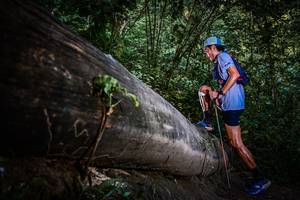 BIB: 
                            <button type="button" onclick="openModal(13519486)" class="btn btn-primary btn-sm float-right btn-popup" data-toggle="modal" data-target=".modal-high-quality">
                        <i class="fas fa-shopping-cart"></i> Add to Cart
                    </button>
                                            <button type="button" onclick="isThisMe(13519486, true)" class="btn btn-success btn-sm float-right btn-popup btn-isme hidden" data-toggle="tooltip" data-placement="bottom" title="นี่คือรูปของคุณใช่ไหม คลิกที่นี่เพื่อเอาเข้าอัลบั้ม">
                        <i class="fas fa-plus"></i> Add to album
                    </button>
                    <button type="button" onclick="isThisMe(13519486, false)" class="btn btn-warning btn-sm float-right btn-popup btn-isnotme hidden">
                        <i class="fas fa-ban"></i> Remove from album
                    </button>