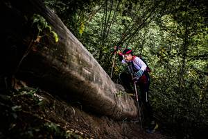 BIB: 
                            <button type="button" onclick="openModal(13525185)" class="btn btn-primary btn-sm float-right btn-popup" data-toggle="modal" data-target=".modal-high-quality">
                        <i class="fas fa-shopping-cart"></i> Add to Cart
                    </button>
                                            <button type="button" onclick="isThisMe(13525185, true)" class="btn btn-success btn-sm float-right btn-popup btn-isme hidden" data-toggle="tooltip" data-placement="bottom" title="นี่คือรูปของคุณใช่ไหม คลิกที่นี่เพื่อเอาเข้าอัลบั้ม">
                        <i class="fas fa-plus"></i> Add to album
                    </button>
                    <button type="button" onclick="isThisMe(13525185, false)" class="btn btn-warning btn-sm float-right btn-popup btn-isnotme hidden">
                        <i class="fas fa-ban"></i> Remove from album
                    </button>