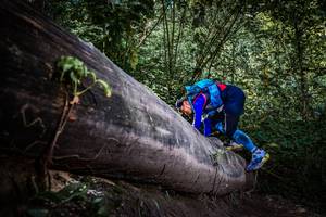 BIB: 
                            <button type="button" onclick="openModal(13519843)" class="btn btn-primary btn-sm float-right btn-popup" data-toggle="modal" data-target=".modal-high-quality">
                        <i class="fas fa-shopping-cart"></i> Add to Cart
                    </button>
                                            <button type="button" onclick="isThisMe(13519843, true)" class="btn btn-success btn-sm float-right btn-popup btn-isme hidden" data-toggle="tooltip" data-placement="bottom" title="นี่คือรูปของคุณใช่ไหม คลิกที่นี่เพื่อเอาเข้าอัลบั้ม">
                        <i class="fas fa-plus"></i> Add to album
                    </button>
                    <button type="button" onclick="isThisMe(13519843, false)" class="btn btn-warning btn-sm float-right btn-popup btn-isnotme hidden">
                        <i class="fas fa-ban"></i> Remove from album
                    </button>