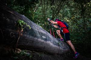 BIB: 
                            <button type="button" onclick="openModal(13519521)" class="btn btn-primary btn-sm float-right btn-popup" data-toggle="modal" data-target=".modal-high-quality">
                        <i class="fas fa-shopping-cart"></i> Add to Cart
                    </button>
                                            <button type="button" onclick="isThisMe(13519521, true)" class="btn btn-success btn-sm float-right btn-popup btn-isme hidden" data-toggle="tooltip" data-placement="bottom" title="นี่คือรูปของคุณใช่ไหม คลิกที่นี่เพื่อเอาเข้าอัลบั้ม">
                        <i class="fas fa-plus"></i> Add to album
                    </button>
                    <button type="button" onclick="isThisMe(13519521, false)" class="btn btn-warning btn-sm float-right btn-popup btn-isnotme hidden">
                        <i class="fas fa-ban"></i> Remove from album
                    </button>