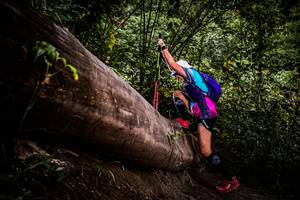 BIB: 
                            <button type="button" onclick="openModal(13525376)" class="btn btn-primary btn-sm float-right btn-popup" data-toggle="modal" data-target=".modal-high-quality">
                        <i class="fas fa-shopping-cart"></i> Add to Cart
                    </button>
                                            <button type="button" onclick="isThisMe(13525376, true)" class="btn btn-success btn-sm float-right btn-popup btn-isme hidden" data-toggle="tooltip" data-placement="bottom" title="นี่คือรูปของคุณใช่ไหม คลิกที่นี่เพื่อเอาเข้าอัลบั้ม">
                        <i class="fas fa-plus"></i> Add to album
                    </button>
                    <button type="button" onclick="isThisMe(13525376, false)" class="btn btn-warning btn-sm float-right btn-popup btn-isnotme hidden">
                        <i class="fas fa-ban"></i> Remove from album
                    </button>