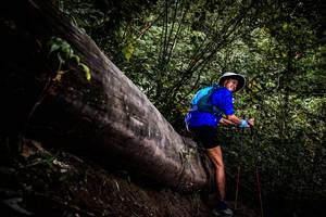 BIB: 
                            <button type="button" onclick="openModal(13525493)" class="btn btn-primary btn-sm float-right btn-popup" data-toggle="modal" data-target=".modal-high-quality">
                        <i class="fas fa-shopping-cart"></i> Add to Cart
                    </button>
                                            <button type="button" onclick="isThisMe(13525493, true)" class="btn btn-success btn-sm float-right btn-popup btn-isme hidden" data-toggle="tooltip" data-placement="bottom" title="นี่คือรูปของคุณใช่ไหม คลิกที่นี่เพื่อเอาเข้าอัลบั้ม">
                        <i class="fas fa-plus"></i> Add to album
                    </button>
                    <button type="button" onclick="isThisMe(13525493, false)" class="btn btn-warning btn-sm float-right btn-popup btn-isnotme hidden">
                        <i class="fas fa-ban"></i> Remove from album
                    </button>