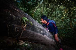 BIB: 
                            <button type="button" onclick="openModal(13519402)" class="btn btn-primary btn-sm float-right btn-popup" data-toggle="modal" data-target=".modal-high-quality">
                        <i class="fas fa-shopping-cart"></i> Add to Cart
                    </button>
                                            <button type="button" onclick="isThisMe(13519402, true)" class="btn btn-success btn-sm float-right btn-popup btn-isme hidden" data-toggle="tooltip" data-placement="bottom" title="นี่คือรูปของคุณใช่ไหม คลิกที่นี่เพื่อเอาเข้าอัลบั้ม">
                        <i class="fas fa-plus"></i> Add to album
                    </button>
                    <button type="button" onclick="isThisMe(13519402, false)" class="btn btn-warning btn-sm float-right btn-popup btn-isnotme hidden">
                        <i class="fas fa-ban"></i> Remove from album
                    </button>