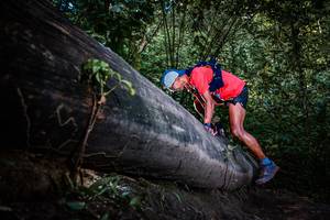 BIB: 
                            <button type="button" onclick="openModal(13519689)" class="btn btn-primary btn-sm float-right btn-popup" data-toggle="modal" data-target=".modal-high-quality">
                        <i class="fas fa-shopping-cart"></i> Add to Cart
                    </button>
                                            <button type="button" onclick="isThisMe(13519689, true)" class="btn btn-success btn-sm float-right btn-popup btn-isme hidden" data-toggle="tooltip" data-placement="bottom" title="นี่คือรูปของคุณใช่ไหม คลิกที่นี่เพื่อเอาเข้าอัลบั้ม">
                        <i class="fas fa-plus"></i> Add to album
                    </button>
                    <button type="button" onclick="isThisMe(13519689, false)" class="btn btn-warning btn-sm float-right btn-popup btn-isnotme hidden">
                        <i class="fas fa-ban"></i> Remove from album
                    </button>