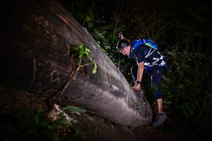 BIB: 
                            <button type="button" onclick="openModal(13518502)" class="btn btn-primary btn-sm float-right btn-popup" data-toggle="modal" data-target=".modal-high-quality">
                        <i class="fas fa-shopping-cart"></i> Add to Cart
                    </button>
                                            <button type="button" onclick="isThisMe(13518502, true)" class="btn btn-success btn-sm float-right btn-popup btn-isme hidden" data-toggle="tooltip" data-placement="bottom" title="นี่คือรูปของคุณใช่ไหม คลิกที่นี่เพื่อเอาเข้าอัลบั้ม">
                        <i class="fas fa-plus"></i> Add to album
                    </button>
                    <button type="button" onclick="isThisMe(13518502, false)" class="btn btn-warning btn-sm float-right btn-popup btn-isnotme hidden">
                        <i class="fas fa-ban"></i> Remove from album
                    </button>