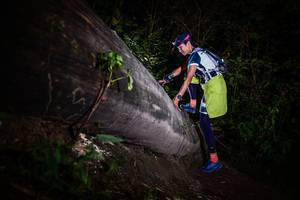 BIB: 
                            <button type="button" onclick="openModal(13518149)" class="btn btn-primary btn-sm float-right btn-popup" data-toggle="modal" data-target=".modal-high-quality">
                        <i class="fas fa-shopping-cart"></i> Add to Cart
                    </button>
                                            <button type="button" onclick="isThisMe(13518149, true)" class="btn btn-success btn-sm float-right btn-popup btn-isme hidden" data-toggle="tooltip" data-placement="bottom" title="นี่คือรูปของคุณใช่ไหม คลิกที่นี่เพื่อเอาเข้าอัลบั้ม">
                        <i class="fas fa-plus"></i> Add to album
                    </button>
                    <button type="button" onclick="isThisMe(13518149, false)" class="btn btn-warning btn-sm float-right btn-popup btn-isnotme hidden">
                        <i class="fas fa-ban"></i> Remove from album
                    </button>