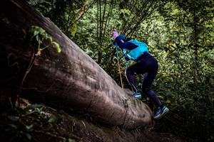 BIB: 
                            <button type="button" onclick="openModal(13523054)" class="btn btn-primary btn-sm float-right btn-popup" data-toggle="modal" data-target=".modal-high-quality">
                        <i class="fas fa-shopping-cart"></i> Add to Cart
                    </button>
                                            <button type="button" onclick="isThisMe(13523054, true)" class="btn btn-success btn-sm float-right btn-popup btn-isme hidden" data-toggle="tooltip" data-placement="bottom" title="นี่คือรูปของคุณใช่ไหม คลิกที่นี่เพื่อเอาเข้าอัลบั้ม">
                        <i class="fas fa-plus"></i> Add to album
                    </button>
                    <button type="button" onclick="isThisMe(13523054, false)" class="btn btn-warning btn-sm float-right btn-popup btn-isnotme hidden">
                        <i class="fas fa-ban"></i> Remove from album
                    </button>