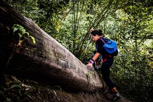 BIB: 
                            <button type="button" onclick="openModal(13525885)" class="btn btn-primary btn-sm float-right btn-popup" data-toggle="modal" data-target=".modal-high-quality">
                        <i class="fas fa-shopping-cart"></i> Add to Cart
                    </button>
                                            <button type="button" onclick="isThisMe(13525885, true)" class="btn btn-success btn-sm float-right btn-popup btn-isme hidden" data-toggle="tooltip" data-placement="bottom" title="นี่คือรูปของคุณใช่ไหม คลิกที่นี่เพื่อเอาเข้าอัลบั้ม">
                        <i class="fas fa-plus"></i> Add to album
                    </button>
                    <button type="button" onclick="isThisMe(13525885, false)" class="btn btn-warning btn-sm float-right btn-popup btn-isnotme hidden">
                        <i class="fas fa-ban"></i> Remove from album
                    </button>