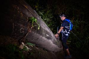 BIB: 
                            <button type="button" onclick="openModal(13518501)" class="btn btn-primary btn-sm float-right btn-popup" data-toggle="modal" data-target=".modal-high-quality">
                        <i class="fas fa-shopping-cart"></i> Add to Cart
                    </button>
                                            <button type="button" onclick="isThisMe(13518501, true)" class="btn btn-success btn-sm float-right btn-popup btn-isme hidden" data-toggle="tooltip" data-placement="bottom" title="นี่คือรูปของคุณใช่ไหม คลิกที่นี่เพื่อเอาเข้าอัลบั้ม">
                        <i class="fas fa-plus"></i> Add to album
                    </button>
                    <button type="button" onclick="isThisMe(13518501, false)" class="btn btn-warning btn-sm float-right btn-popup btn-isnotme hidden">
                        <i class="fas fa-ban"></i> Remove from album
                    </button>