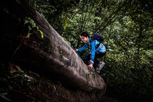 BIB: 
                            <button type="button" onclick="openModal(13525503)" class="btn btn-primary btn-sm float-right btn-popup" data-toggle="modal" data-target=".modal-high-quality">
                        <i class="fas fa-shopping-cart"></i> Add to Cart
                    </button>
                                            <button type="button" onclick="isThisMe(13525503, true)" class="btn btn-success btn-sm float-right btn-popup btn-isme hidden" data-toggle="tooltip" data-placement="bottom" title="นี่คือรูปของคุณใช่ไหม คลิกที่นี่เพื่อเอาเข้าอัลบั้ม">
                        <i class="fas fa-plus"></i> Add to album
                    </button>
                    <button type="button" onclick="isThisMe(13525503, false)" class="btn btn-warning btn-sm float-right btn-popup btn-isnotme hidden">
                        <i class="fas fa-ban"></i> Remove from album
                    </button>