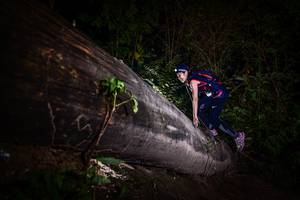 BIB: 
                            <button type="button" onclick="openModal(13518798)" class="btn btn-primary btn-sm float-right btn-popup" data-toggle="modal" data-target=".modal-high-quality">
                        <i class="fas fa-shopping-cart"></i> Add to Cart
                    </button>
                                            <button type="button" onclick="isThisMe(13518798, true)" class="btn btn-success btn-sm float-right btn-popup btn-isme hidden" data-toggle="tooltip" data-placement="bottom" title="นี่คือรูปของคุณใช่ไหม คลิกที่นี่เพื่อเอาเข้าอัลบั้ม">
                        <i class="fas fa-plus"></i> Add to album
                    </button>
                    <button type="button" onclick="isThisMe(13518798, false)" class="btn btn-warning btn-sm float-right btn-popup btn-isnotme hidden">
                        <i class="fas fa-ban"></i> Remove from album
                    </button>