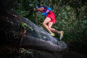 BIB: 
                            <button type="button" onclick="openModal(13519422)" class="btn btn-primary btn-sm float-right btn-popup" data-toggle="modal" data-target=".modal-high-quality">
                        <i class="fas fa-shopping-cart"></i> Add to Cart
                    </button>
                                            <button type="button" onclick="isThisMe(13519422, true)" class="btn btn-success btn-sm float-right btn-popup btn-isme hidden" data-toggle="tooltip" data-placement="bottom" title="นี่คือรูปของคุณใช่ไหม คลิกที่นี่เพื่อเอาเข้าอัลบั้ม">
                        <i class="fas fa-plus"></i> Add to album
                    </button>
                    <button type="button" onclick="isThisMe(13519422, false)" class="btn btn-warning btn-sm float-right btn-popup btn-isnotme hidden">
                        <i class="fas fa-ban"></i> Remove from album
                    </button>