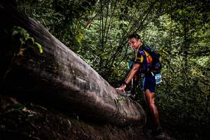 BIB: 
                            <button type="button" onclick="openModal(13525659)" class="btn btn-primary btn-sm float-right btn-popup" data-toggle="modal" data-target=".modal-high-quality">
                        <i class="fas fa-shopping-cart"></i> Add to Cart
                    </button>
                                            <button type="button" onclick="isThisMe(13525659, true)" class="btn btn-success btn-sm float-right btn-popup btn-isme hidden" data-toggle="tooltip" data-placement="bottom" title="นี่คือรูปของคุณใช่ไหม คลิกที่นี่เพื่อเอาเข้าอัลบั้ม">
                        <i class="fas fa-plus"></i> Add to album
                    </button>
                    <button type="button" onclick="isThisMe(13525659, false)" class="btn btn-warning btn-sm float-right btn-popup btn-isnotme hidden">
                        <i class="fas fa-ban"></i> Remove from album
                    </button>