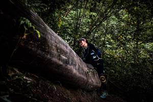 BIB: 
                            <button type="button" onclick="openModal(13525481)" class="btn btn-primary btn-sm float-right btn-popup" data-toggle="modal" data-target=".modal-high-quality">
                        <i class="fas fa-shopping-cart"></i> Add to Cart
                    </button>
                                            <button type="button" onclick="isThisMe(13525481, true)" class="btn btn-success btn-sm float-right btn-popup btn-isme hidden" data-toggle="tooltip" data-placement="bottom" title="นี่คือรูปของคุณใช่ไหม คลิกที่นี่เพื่อเอาเข้าอัลบั้ม">
                        <i class="fas fa-plus"></i> Add to album
                    </button>
                    <button type="button" onclick="isThisMe(13525481, false)" class="btn btn-warning btn-sm float-right btn-popup btn-isnotme hidden">
                        <i class="fas fa-ban"></i> Remove from album
                    </button>