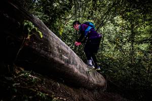 BIB: 
                            <button type="button" onclick="openModal(13525326)" class="btn btn-primary btn-sm float-right btn-popup" data-toggle="modal" data-target=".modal-high-quality">
                        <i class="fas fa-shopping-cart"></i> Add to Cart
                    </button>
                                            <button type="button" onclick="isThisMe(13525326, true)" class="btn btn-success btn-sm float-right btn-popup btn-isme hidden" data-toggle="tooltip" data-placement="bottom" title="นี่คือรูปของคุณใช่ไหม คลิกที่นี่เพื่อเอาเข้าอัลบั้ม">
                        <i class="fas fa-plus"></i> Add to album
                    </button>
                    <button type="button" onclick="isThisMe(13525326, false)" class="btn btn-warning btn-sm float-right btn-popup btn-isnotme hidden">
                        <i class="fas fa-ban"></i> Remove from album
                    </button>