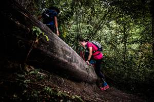 BIB: 
                            <button type="button" onclick="openModal(13525262)" class="btn btn-primary btn-sm float-right btn-popup" data-toggle="modal" data-target=".modal-high-quality">
                        <i class="fas fa-shopping-cart"></i> Add to Cart
                    </button>
                                            <button type="button" onclick="isThisMe(13525262, true)" class="btn btn-success btn-sm float-right btn-popup btn-isme hidden" data-toggle="tooltip" data-placement="bottom" title="นี่คือรูปของคุณใช่ไหม คลิกที่นี่เพื่อเอาเข้าอัลบั้ม">
                        <i class="fas fa-plus"></i> Add to album
                    </button>
                    <button type="button" onclick="isThisMe(13525262, false)" class="btn btn-warning btn-sm float-right btn-popup btn-isnotme hidden">
                        <i class="fas fa-ban"></i> Remove from album
                    </button>