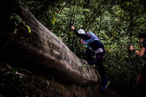 BIB: 
                            <button type="button" onclick="openModal(13525530)" class="btn btn-primary btn-sm float-right btn-popup" data-toggle="modal" data-target=".modal-high-quality">
                        <i class="fas fa-shopping-cart"></i> Add to Cart
                    </button>
                                            <button type="button" onclick="isThisMe(13525530, true)" class="btn btn-success btn-sm float-right btn-popup btn-isme hidden" data-toggle="tooltip" data-placement="bottom" title="นี่คือรูปของคุณใช่ไหม คลิกที่นี่เพื่อเอาเข้าอัลบั้ม">
                        <i class="fas fa-plus"></i> Add to album
                    </button>
                    <button type="button" onclick="isThisMe(13525530, false)" class="btn btn-warning btn-sm float-right btn-popup btn-isnotme hidden">
                        <i class="fas fa-ban"></i> Remove from album
                    </button>