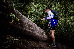 BIB: 
                            <button type="button" onclick="openModal(13525396)" class="btn btn-primary btn-sm float-right btn-popup" data-toggle="modal" data-target=".modal-high-quality">
                        <i class="fas fa-shopping-cart"></i> Add to Cart
                    </button>
                                            <button type="button" onclick="isThisMe(13525396, true)" class="btn btn-success btn-sm float-right btn-popup btn-isme hidden" data-toggle="tooltip" data-placement="bottom" title="นี่คือรูปของคุณใช่ไหม คลิกที่นี่เพื่อเอาเข้าอัลบั้ม">
                        <i class="fas fa-plus"></i> Add to album
                    </button>
                    <button type="button" onclick="isThisMe(13525396, false)" class="btn btn-warning btn-sm float-right btn-popup btn-isnotme hidden">
                        <i class="fas fa-ban"></i> Remove from album
                    </button>