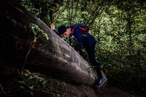 BIB: 
                            <button type="button" onclick="openModal(13523204)" class="btn btn-primary btn-sm float-right btn-popup" data-toggle="modal" data-target=".modal-high-quality">
                        <i class="fas fa-shopping-cart"></i> Add to Cart
                    </button>
                                            <button type="button" onclick="isThisMe(13523204, true)" class="btn btn-success btn-sm float-right btn-popup btn-isme hidden" data-toggle="tooltip" data-placement="bottom" title="นี่คือรูปของคุณใช่ไหม คลิกที่นี่เพื่อเอาเข้าอัลบั้ม">
                        <i class="fas fa-plus"></i> Add to album
                    </button>
                    <button type="button" onclick="isThisMe(13523204, false)" class="btn btn-warning btn-sm float-right btn-popup btn-isnotme hidden">
                        <i class="fas fa-ban"></i> Remove from album
                    </button>