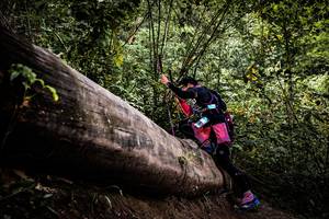 BIB: 
                            <button type="button" onclick="openModal(13525801)" class="btn btn-primary btn-sm float-right btn-popup" data-toggle="modal" data-target=".modal-high-quality">
                        <i class="fas fa-shopping-cart"></i> Add to Cart
                    </button>
                                            <button type="button" onclick="isThisMe(13525801, true)" class="btn btn-success btn-sm float-right btn-popup btn-isme hidden" data-toggle="tooltip" data-placement="bottom" title="นี่คือรูปของคุณใช่ไหม คลิกที่นี่เพื่อเอาเข้าอัลบั้ม">
                        <i class="fas fa-plus"></i> Add to album
                    </button>
                    <button type="button" onclick="isThisMe(13525801, false)" class="btn btn-warning btn-sm float-right btn-popup btn-isnotme hidden">
                        <i class="fas fa-ban"></i> Remove from album
                    </button>