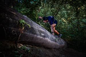 BIB: 
                            <button type="button" onclick="openModal(13519538)" class="btn btn-primary btn-sm float-right btn-popup" data-toggle="modal" data-target=".modal-high-quality">
                        <i class="fas fa-shopping-cart"></i> Add to Cart
                    </button>
                                            <button type="button" onclick="isThisMe(13519538, true)" class="btn btn-success btn-sm float-right btn-popup btn-isme hidden" data-toggle="tooltip" data-placement="bottom" title="นี่คือรูปของคุณใช่ไหม คลิกที่นี่เพื่อเอาเข้าอัลบั้ม">
                        <i class="fas fa-plus"></i> Add to album
                    </button>
                    <button type="button" onclick="isThisMe(13519538, false)" class="btn btn-warning btn-sm float-right btn-popup btn-isnotme hidden">
                        <i class="fas fa-ban"></i> Remove from album
                    </button>