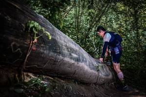 BIB: 
                            <button type="button" onclick="openModal(13519834)" class="btn btn-primary btn-sm float-right btn-popup" data-toggle="modal" data-target=".modal-high-quality">
                        <i class="fas fa-shopping-cart"></i> Add to Cart
                    </button>
                                            <button type="button" onclick="isThisMe(13519834, true)" class="btn btn-success btn-sm float-right btn-popup btn-isme hidden" data-toggle="tooltip" data-placement="bottom" title="นี่คือรูปของคุณใช่ไหม คลิกที่นี่เพื่อเอาเข้าอัลบั้ม">
                        <i class="fas fa-plus"></i> Add to album
                    </button>
                    <button type="button" onclick="isThisMe(13519834, false)" class="btn btn-warning btn-sm float-right btn-popup btn-isnotme hidden">
                        <i class="fas fa-ban"></i> Remove from album
                    </button>