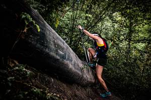 BIB: 
                            <button type="button" onclick="openModal(13525196)" class="btn btn-primary btn-sm float-right btn-popup" data-toggle="modal" data-target=".modal-high-quality">
                        <i class="fas fa-shopping-cart"></i> Add to Cart
                    </button>
                                            <button type="button" onclick="isThisMe(13525196, true)" class="btn btn-success btn-sm float-right btn-popup btn-isme hidden" data-toggle="tooltip" data-placement="bottom" title="นี่คือรูปของคุณใช่ไหม คลิกที่นี่เพื่อเอาเข้าอัลบั้ม">
                        <i class="fas fa-plus"></i> Add to album
                    </button>
                    <button type="button" onclick="isThisMe(13525196, false)" class="btn btn-warning btn-sm float-right btn-popup btn-isnotme hidden">
                        <i class="fas fa-ban"></i> Remove from album
                    </button>