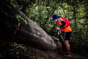 BIB: 
                            <button type="button" onclick="openModal(13523278)" class="btn btn-primary btn-sm float-right btn-popup" data-toggle="modal" data-target=".modal-high-quality">
                        <i class="fas fa-shopping-cart"></i> Add to Cart
                    </button>
                                            <button type="button" onclick="isThisMe(13523278, true)" class="btn btn-success btn-sm float-right btn-popup btn-isme hidden" data-toggle="tooltip" data-placement="bottom" title="นี่คือรูปของคุณใช่ไหม คลิกที่นี่เพื่อเอาเข้าอัลบั้ม">
                        <i class="fas fa-plus"></i> Add to album
                    </button>
                    <button type="button" onclick="isThisMe(13523278, false)" class="btn btn-warning btn-sm float-right btn-popup btn-isnotme hidden">
                        <i class="fas fa-ban"></i> Remove from album
                    </button>