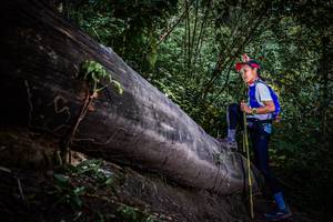 BIB: 
                            <button type="button" onclick="openModal(13519602)" class="btn btn-primary btn-sm float-right btn-popup" data-toggle="modal" data-target=".modal-high-quality">
                        <i class="fas fa-shopping-cart"></i> Add to Cart
                    </button>
                                            <button type="button" onclick="isThisMe(13519602, true)" class="btn btn-success btn-sm float-right btn-popup btn-isme hidden" data-toggle="tooltip" data-placement="bottom" title="นี่คือรูปของคุณใช่ไหม คลิกที่นี่เพื่อเอาเข้าอัลบั้ม">
                        <i class="fas fa-plus"></i> Add to album
                    </button>
                    <button type="button" onclick="isThisMe(13519602, false)" class="btn btn-warning btn-sm float-right btn-popup btn-isnotme hidden">
                        <i class="fas fa-ban"></i> Remove from album
                    </button>