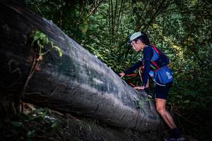 BIB: 
                            <button type="button" onclick="openModal(13519615)" class="btn btn-primary btn-sm float-right btn-popup" data-toggle="modal" data-target=".modal-high-quality">
                        <i class="fas fa-shopping-cart"></i> Add to Cart
                    </button>
                                            <button type="button" onclick="isThisMe(13519615, true)" class="btn btn-success btn-sm float-right btn-popup btn-isme hidden" data-toggle="tooltip" data-placement="bottom" title="นี่คือรูปของคุณใช่ไหม คลิกที่นี่เพื่อเอาเข้าอัลบั้ม">
                        <i class="fas fa-plus"></i> Add to album
                    </button>
                    <button type="button" onclick="isThisMe(13519615, false)" class="btn btn-warning btn-sm float-right btn-popup btn-isnotme hidden">
                        <i class="fas fa-ban"></i> Remove from album
                    </button>