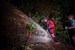 BIB: 
                            <button type="button" onclick="openModal(13517340)" class="btn btn-primary btn-sm float-right btn-popup" data-toggle="modal" data-target=".modal-high-quality">
                        <i class="fas fa-shopping-cart"></i> Add to Cart
                    </button>
                                            <button type="button" onclick="isThisMe(13517340, true)" class="btn btn-success btn-sm float-right btn-popup btn-isme hidden" data-toggle="tooltip" data-placement="bottom" title="นี่คือรูปของคุณใช่ไหม คลิกที่นี่เพื่อเอาเข้าอัลบั้ม">
                        <i class="fas fa-plus"></i> Add to album
                    </button>
                    <button type="button" onclick="isThisMe(13517340, false)" class="btn btn-warning btn-sm float-right btn-popup btn-isnotme hidden">
                        <i class="fas fa-ban"></i> Remove from album
                    </button>