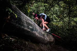 BIB: 
                            <button type="button" onclick="openModal(13525413)" class="btn btn-primary btn-sm float-right btn-popup" data-toggle="modal" data-target=".modal-high-quality">
                        <i class="fas fa-shopping-cart"></i> Add to Cart
                    </button>
                                            <button type="button" onclick="isThisMe(13525413, true)" class="btn btn-success btn-sm float-right btn-popup btn-isme hidden" data-toggle="tooltip" data-placement="bottom" title="นี่คือรูปของคุณใช่ไหม คลิกที่นี่เพื่อเอาเข้าอัลบั้ม">
                        <i class="fas fa-plus"></i> Add to album
                    </button>
                    <button type="button" onclick="isThisMe(13525413, false)" class="btn btn-warning btn-sm float-right btn-popup btn-isnotme hidden">
                        <i class="fas fa-ban"></i> Remove from album
                    </button>