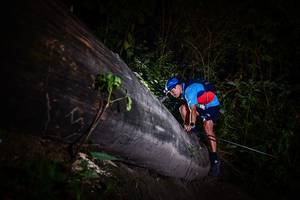 BIB: 
                            <button type="button" onclick="openModal(13518204)" class="btn btn-primary btn-sm float-right btn-popup" data-toggle="modal" data-target=".modal-high-quality">
                        <i class="fas fa-shopping-cart"></i> Add to Cart
                    </button>
                                            <button type="button" onclick="isThisMe(13518204, true)" class="btn btn-success btn-sm float-right btn-popup btn-isme hidden" data-toggle="tooltip" data-placement="bottom" title="นี่คือรูปของคุณใช่ไหม คลิกที่นี่เพื่อเอาเข้าอัลบั้ม">
                        <i class="fas fa-plus"></i> Add to album
                    </button>
                    <button type="button" onclick="isThisMe(13518204, false)" class="btn btn-warning btn-sm float-right btn-popup btn-isnotme hidden">
                        <i class="fas fa-ban"></i> Remove from album
                    </button>