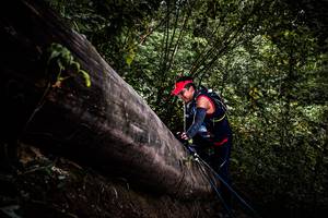 BIB: 
                            <button type="button" onclick="openModal(13525492)" class="btn btn-primary btn-sm float-right btn-popup" data-toggle="modal" data-target=".modal-high-quality">
                        <i class="fas fa-shopping-cart"></i> Add to Cart
                    </button>
                                            <button type="button" onclick="isThisMe(13525492, true)" class="btn btn-success btn-sm float-right btn-popup btn-isme hidden" data-toggle="tooltip" data-placement="bottom" title="นี่คือรูปของคุณใช่ไหม คลิกที่นี่เพื่อเอาเข้าอัลบั้ม">
                        <i class="fas fa-plus"></i> Add to album
                    </button>
                    <button type="button" onclick="isThisMe(13525492, false)" class="btn btn-warning btn-sm float-right btn-popup btn-isnotme hidden">
                        <i class="fas fa-ban"></i> Remove from album
                    </button>