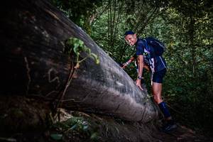 BIB: 
                            <button type="button" onclick="openModal(13519700)" class="btn btn-primary btn-sm float-right btn-popup" data-toggle="modal" data-target=".modal-high-quality">
                        <i class="fas fa-shopping-cart"></i> Add to Cart
                    </button>
                                            <button type="button" onclick="isThisMe(13519700, true)" class="btn btn-success btn-sm float-right btn-popup btn-isme hidden" data-toggle="tooltip" data-placement="bottom" title="นี่คือรูปของคุณใช่ไหม คลิกที่นี่เพื่อเอาเข้าอัลบั้ม">
                        <i class="fas fa-plus"></i> Add to album
                    </button>
                    <button type="button" onclick="isThisMe(13519700, false)" class="btn btn-warning btn-sm float-right btn-popup btn-isnotme hidden">
                        <i class="fas fa-ban"></i> Remove from album
                    </button>