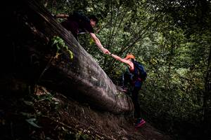 BIB: 
                            <button type="button" onclick="openModal(13525473)" class="btn btn-primary btn-sm float-right btn-popup" data-toggle="modal" data-target=".modal-high-quality">
                        <i class="fas fa-shopping-cart"></i> Add to Cart
                    </button>
                                            <button type="button" onclick="isThisMe(13525473, true)" class="btn btn-success btn-sm float-right btn-popup btn-isme hidden" data-toggle="tooltip" data-placement="bottom" title="นี่คือรูปของคุณใช่ไหม คลิกที่นี่เพื่อเอาเข้าอัลบั้ม">
                        <i class="fas fa-plus"></i> Add to album
                    </button>
                    <button type="button" onclick="isThisMe(13525473, false)" class="btn btn-warning btn-sm float-right btn-popup btn-isnotme hidden">
                        <i class="fas fa-ban"></i> Remove from album
                    </button>