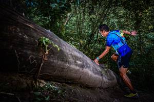 BIB: 
                            <button type="button" onclick="openModal(13519524)" class="btn btn-primary btn-sm float-right btn-popup" data-toggle="modal" data-target=".modal-high-quality">
                        <i class="fas fa-shopping-cart"></i> Add to Cart
                    </button>
                                            <button type="button" onclick="isThisMe(13519524, true)" class="btn btn-success btn-sm float-right btn-popup btn-isme hidden" data-toggle="tooltip" data-placement="bottom" title="นี่คือรูปของคุณใช่ไหม คลิกที่นี่เพื่อเอาเข้าอัลบั้ม">
                        <i class="fas fa-plus"></i> Add to album
                    </button>
                    <button type="button" onclick="isThisMe(13519524, false)" class="btn btn-warning btn-sm float-right btn-popup btn-isnotme hidden">
                        <i class="fas fa-ban"></i> Remove from album
                    </button>