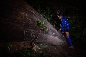 BIB: 
                            <button type="button" onclick="openModal(13517831)" class="btn btn-primary btn-sm float-right btn-popup" data-toggle="modal" data-target=".modal-high-quality">
                        <i class="fas fa-shopping-cart"></i> Add to Cart
                    </button>
                                            <button type="button" onclick="isThisMe(13517831, true)" class="btn btn-success btn-sm float-right btn-popup btn-isme hidden" data-toggle="tooltip" data-placement="bottom" title="นี่คือรูปของคุณใช่ไหม คลิกที่นี่เพื่อเอาเข้าอัลบั้ม">
                        <i class="fas fa-plus"></i> Add to album
                    </button>
                    <button type="button" onclick="isThisMe(13517831, false)" class="btn btn-warning btn-sm float-right btn-popup btn-isnotme hidden">
                        <i class="fas fa-ban"></i> Remove from album
                    </button>