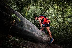 BIB: 
                            <button type="button" onclick="openModal(13523699)" class="btn btn-primary btn-sm float-right btn-popup" data-toggle="modal" data-target=".modal-high-quality">
                        <i class="fas fa-shopping-cart"></i> Add to Cart
                    </button>
                                            <button type="button" onclick="isThisMe(13523699, true)" class="btn btn-success btn-sm float-right btn-popup btn-isme hidden" data-toggle="tooltip" data-placement="bottom" title="นี่คือรูปของคุณใช่ไหม คลิกที่นี่เพื่อเอาเข้าอัลบั้ม">
                        <i class="fas fa-plus"></i> Add to album
                    </button>
                    <button type="button" onclick="isThisMe(13523699, false)" class="btn btn-warning btn-sm float-right btn-popup btn-isnotme hidden">
                        <i class="fas fa-ban"></i> Remove from album
                    </button>