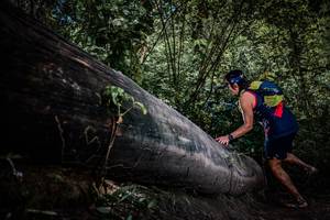 BIB: 
                            <button type="button" onclick="openModal(13522708)" class="btn btn-primary btn-sm float-right btn-popup" data-toggle="modal" data-target=".modal-high-quality">
                        <i class="fas fa-shopping-cart"></i> Add to Cart
                    </button>
                                            <button type="button" onclick="isThisMe(13522708, true)" class="btn btn-success btn-sm float-right btn-popup btn-isme hidden" data-toggle="tooltip" data-placement="bottom" title="นี่คือรูปของคุณใช่ไหม คลิกที่นี่เพื่อเอาเข้าอัลบั้ม">
                        <i class="fas fa-plus"></i> Add to album
                    </button>
                    <button type="button" onclick="isThisMe(13522708, false)" class="btn btn-warning btn-sm float-right btn-popup btn-isnotme hidden">
                        <i class="fas fa-ban"></i> Remove from album
                    </button>