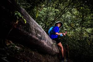 BIB: 
                            <button type="button" onclick="openModal(13525495)" class="btn btn-primary btn-sm float-right btn-popup" data-toggle="modal" data-target=".modal-high-quality">
                        <i class="fas fa-shopping-cart"></i> Add to Cart
                    </button>
                                            <button type="button" onclick="isThisMe(13525495, true)" class="btn btn-success btn-sm float-right btn-popup btn-isme hidden" data-toggle="tooltip" data-placement="bottom" title="นี่คือรูปของคุณใช่ไหม คลิกที่นี่เพื่อเอาเข้าอัลบั้ม">
                        <i class="fas fa-plus"></i> Add to album
                    </button>
                    <button type="button" onclick="isThisMe(13525495, false)" class="btn btn-warning btn-sm float-right btn-popup btn-isnotme hidden">
                        <i class="fas fa-ban"></i> Remove from album
                    </button>