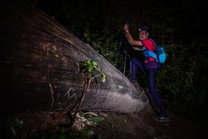 BIB: 
                            <button type="button" onclick="openModal(13517767)" class="btn btn-primary btn-sm float-right btn-popup" data-toggle="modal" data-target=".modal-high-quality">
                        <i class="fas fa-shopping-cart"></i> Add to Cart
                    </button>
                                            <button type="button" onclick="isThisMe(13517767, true)" class="btn btn-success btn-sm float-right btn-popup btn-isme hidden" data-toggle="tooltip" data-placement="bottom" title="นี่คือรูปของคุณใช่ไหม คลิกที่นี่เพื่อเอาเข้าอัลบั้ม">
                        <i class="fas fa-plus"></i> Add to album
                    </button>
                    <button type="button" onclick="isThisMe(13517767, false)" class="btn btn-warning btn-sm float-right btn-popup btn-isnotme hidden">
                        <i class="fas fa-ban"></i> Remove from album
                    </button>