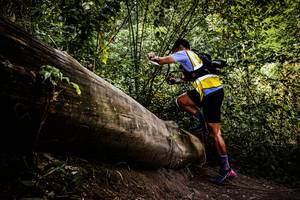 BIB: 
                            <button type="button" onclick="openModal(13525940)" class="btn btn-primary btn-sm float-right btn-popup" data-toggle="modal" data-target=".modal-high-quality">
                        <i class="fas fa-shopping-cart"></i> Add to Cart
                    </button>
                                            <button type="button" onclick="isThisMe(13525940, true)" class="btn btn-success btn-sm float-right btn-popup btn-isme hidden" data-toggle="tooltip" data-placement="bottom" title="นี่คือรูปของคุณใช่ไหม คลิกที่นี่เพื่อเอาเข้าอัลบั้ม">
                        <i class="fas fa-plus"></i> Add to album
                    </button>
                    <button type="button" onclick="isThisMe(13525940, false)" class="btn btn-warning btn-sm float-right btn-popup btn-isnotme hidden">
                        <i class="fas fa-ban"></i> Remove from album
                    </button>