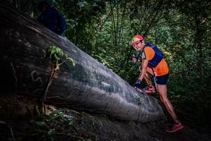 BIB: 
                            <button type="button" onclick="openModal(13519557)" class="btn btn-primary btn-sm float-right btn-popup" data-toggle="modal" data-target=".modal-high-quality">
                        <i class="fas fa-shopping-cart"></i> Add to Cart
                    </button>
                                            <button type="button" onclick="isThisMe(13519557, true)" class="btn btn-success btn-sm float-right btn-popup btn-isme hidden" data-toggle="tooltip" data-placement="bottom" title="นี่คือรูปของคุณใช่ไหม คลิกที่นี่เพื่อเอาเข้าอัลบั้ม">
                        <i class="fas fa-plus"></i> Add to album
                    </button>
                    <button type="button" onclick="isThisMe(13519557, false)" class="btn btn-warning btn-sm float-right btn-popup btn-isnotme hidden">
                        <i class="fas fa-ban"></i> Remove from album
                    </button>