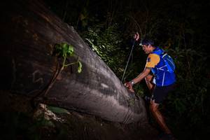 BIB: 
                            <button type="button" onclick="openModal(13518097)" class="btn btn-primary btn-sm float-right btn-popup" data-toggle="modal" data-target=".modal-high-quality">
                        <i class="fas fa-shopping-cart"></i> Add to Cart
                    </button>
                                            <button type="button" onclick="isThisMe(13518097, true)" class="btn btn-success btn-sm float-right btn-popup btn-isme hidden" data-toggle="tooltip" data-placement="bottom" title="นี่คือรูปของคุณใช่ไหม คลิกที่นี่เพื่อเอาเข้าอัลบั้ม">
                        <i class="fas fa-plus"></i> Add to album
                    </button>
                    <button type="button" onclick="isThisMe(13518097, false)" class="btn btn-warning btn-sm float-right btn-popup btn-isnotme hidden">
                        <i class="fas fa-ban"></i> Remove from album
                    </button>