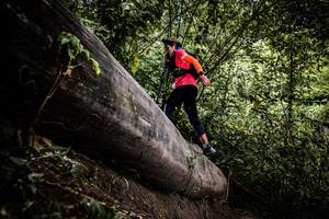 BIB: 
                            <button type="button" onclick="openModal(13523845)" class="btn btn-primary btn-sm float-right btn-popup" data-toggle="modal" data-target=".modal-high-quality">
                        <i class="fas fa-shopping-cart"></i> Add to Cart
                    </button>
                                            <button type="button" onclick="isThisMe(13523845, true)" class="btn btn-success btn-sm float-right btn-popup btn-isme hidden" data-toggle="tooltip" data-placement="bottom" title="นี่คือรูปของคุณใช่ไหม คลิกที่นี่เพื่อเอาเข้าอัลบั้ม">
                        <i class="fas fa-plus"></i> Add to album
                    </button>
                    <button type="button" onclick="isThisMe(13523845, false)" class="btn btn-warning btn-sm float-right btn-popup btn-isnotme hidden">
                        <i class="fas fa-ban"></i> Remove from album
                    </button>